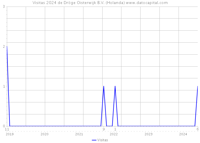 Visitas 2024 de Dröge Oisterwijk B.V. (Holanda) 