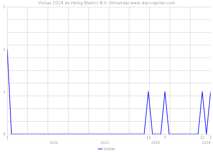 Visitas 2024 de Heilig Elektro B.V. (Holanda) 