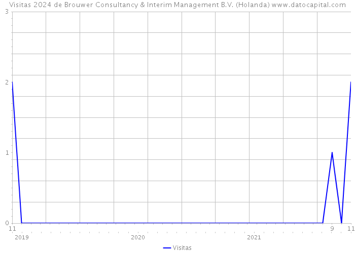 Visitas 2024 de Brouwer Consultancy & Interim Management B.V. (Holanda) 