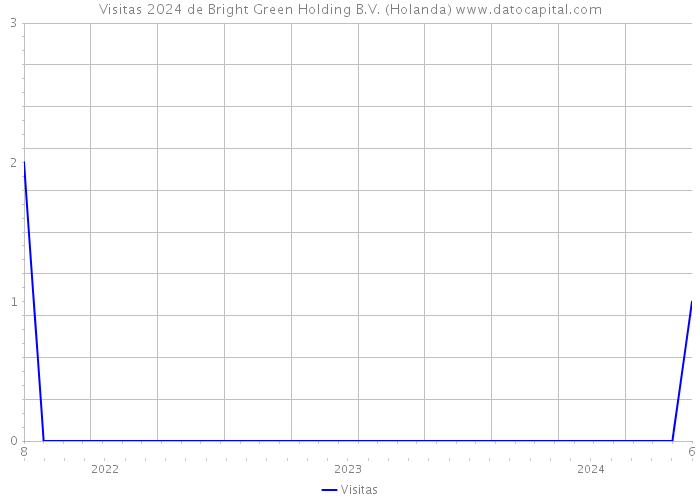 Visitas 2024 de Bright Green Holding B.V. (Holanda) 