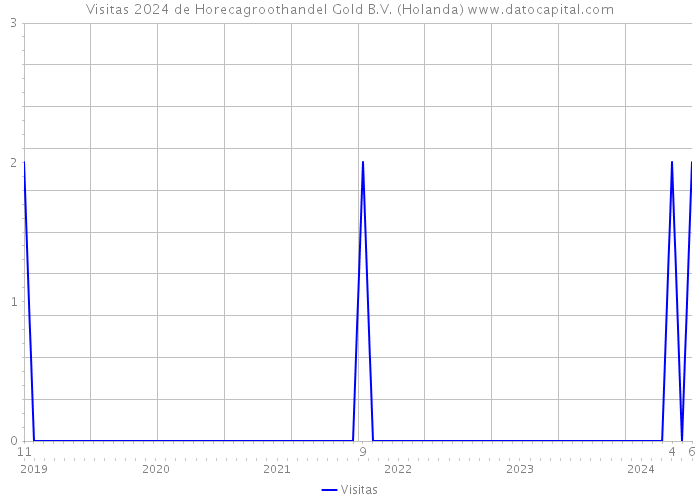 Visitas 2024 de Horecagroothandel Gold B.V. (Holanda) 