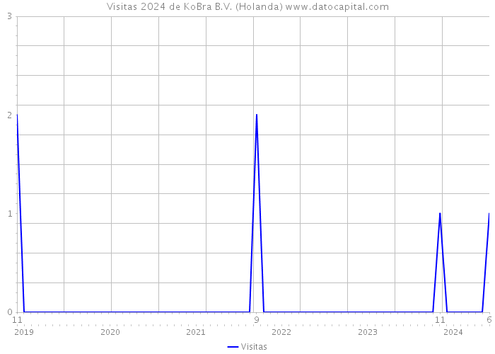 Visitas 2024 de KoBra B.V. (Holanda) 