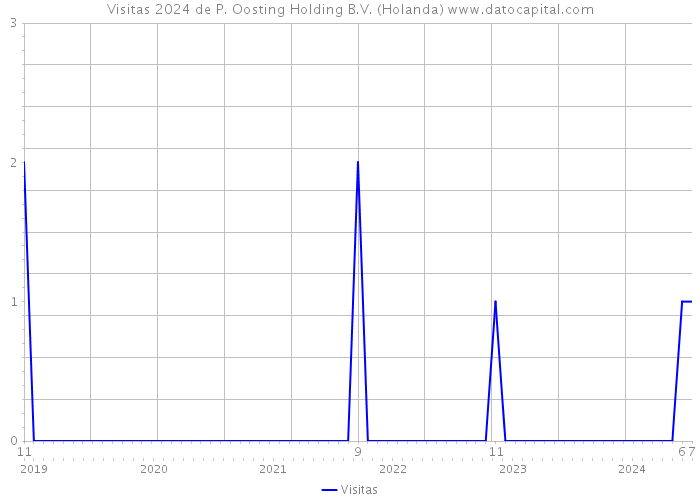 Visitas 2024 de P. Oosting Holding B.V. (Holanda) 