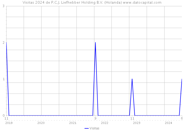 Visitas 2024 de P.C.J. Liefhebber Holding B.V. (Holanda) 