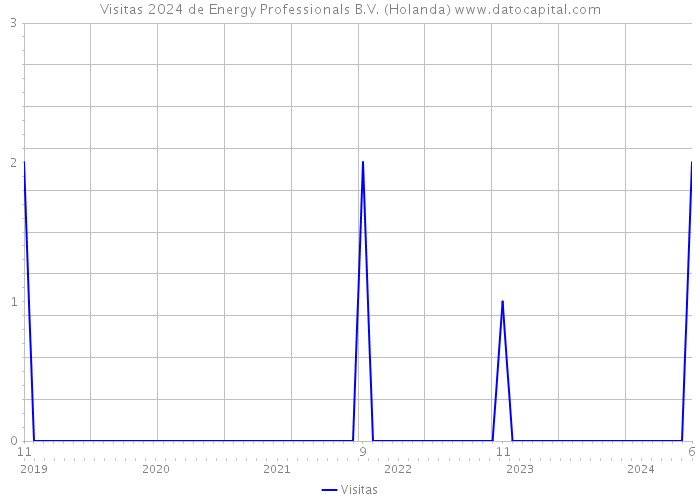 Visitas 2024 de Energy Professionals B.V. (Holanda) 