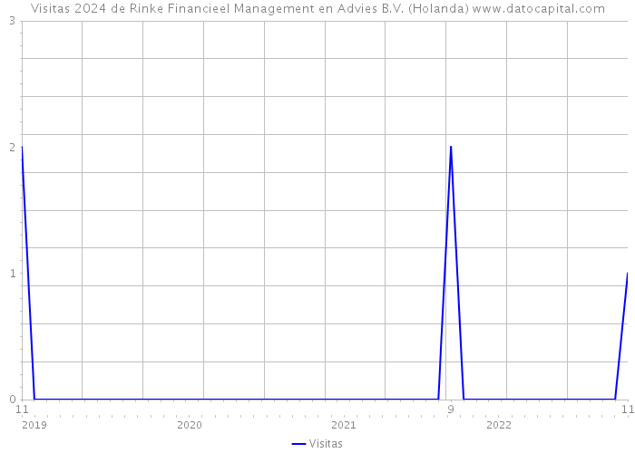 Visitas 2024 de Rinke Financieel Management en Advies B.V. (Holanda) 