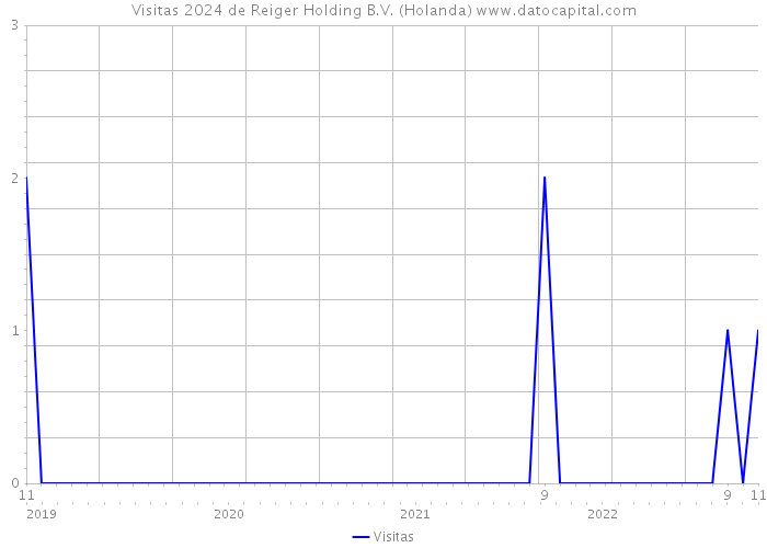 Visitas 2024 de Reiger Holding B.V. (Holanda) 