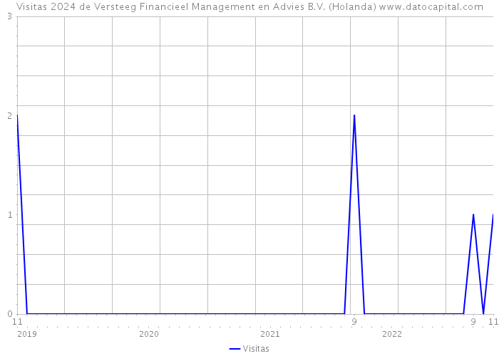 Visitas 2024 de Versteeg Financieel Management en Advies B.V. (Holanda) 