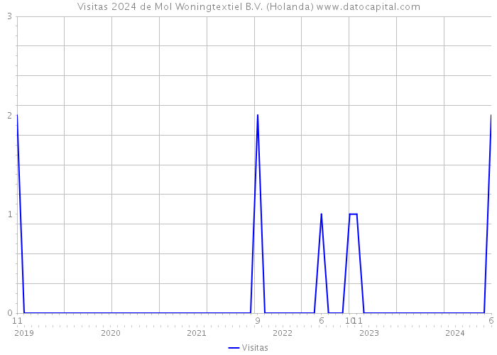 Visitas 2024 de Mol Woningtextiel B.V. (Holanda) 