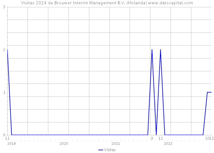 Visitas 2024 de Brouwer Interim Management B.V. (Holanda) 
