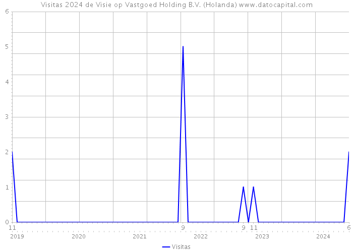 Visitas 2024 de Visie op Vastgoed Holding B.V. (Holanda) 