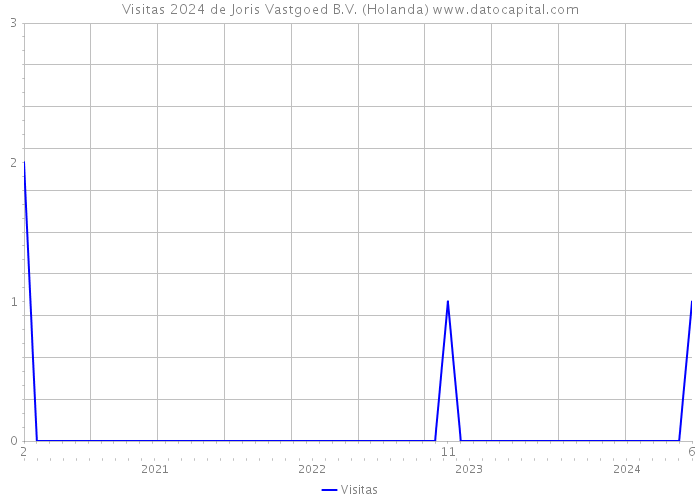 Visitas 2024 de Joris Vastgoed B.V. (Holanda) 