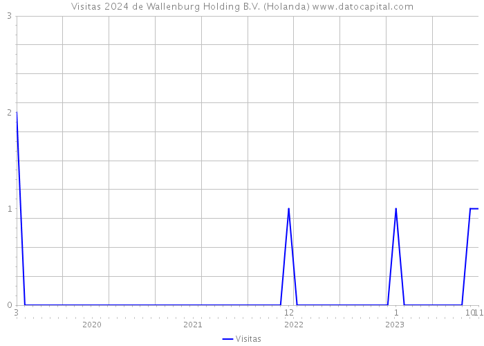 Visitas 2024 de Wallenburg Holding B.V. (Holanda) 
