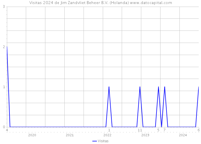 Visitas 2024 de Jim Zandvliet Beheer B.V. (Holanda) 