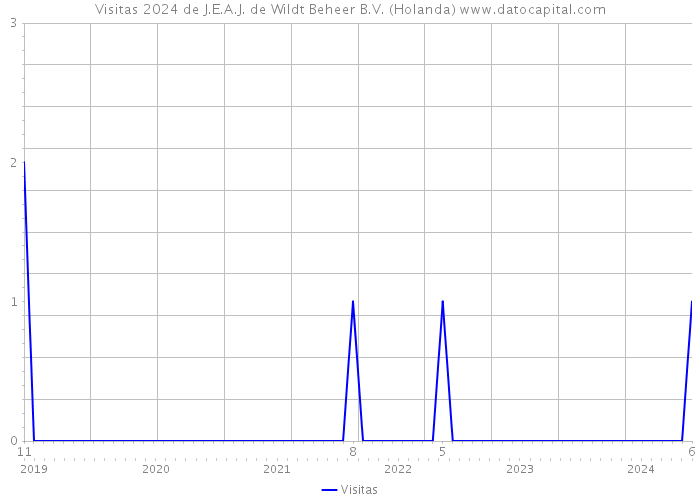 Visitas 2024 de J.E.A.J. de Wildt Beheer B.V. (Holanda) 