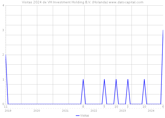 Visitas 2024 de VH Investment Holding B.V. (Holanda) 
