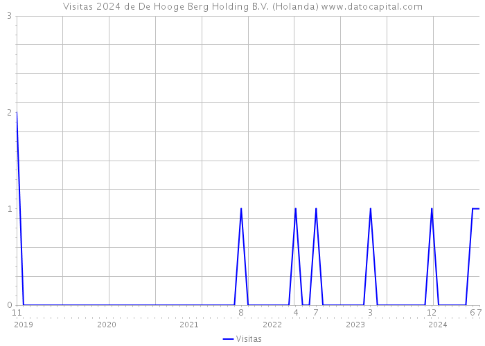 Visitas 2024 de De Hooge Berg Holding B.V. (Holanda) 