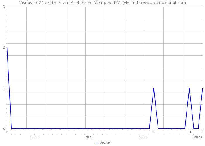 Visitas 2024 de Teun van Blijderveen Vastgoed B.V. (Holanda) 