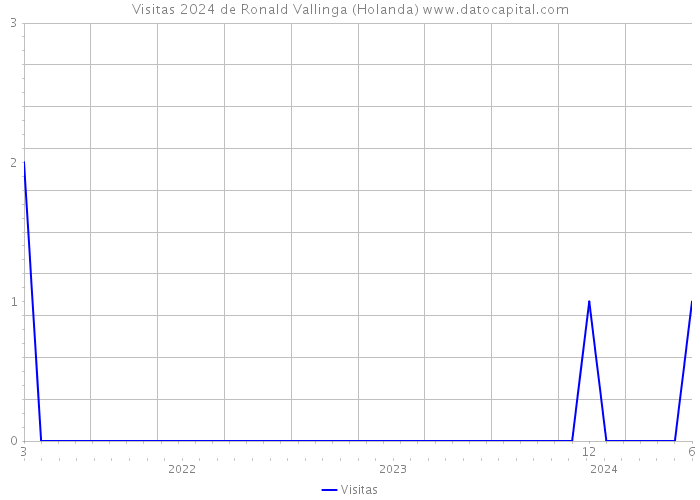 Visitas 2024 de Ronald Vallinga (Holanda) 