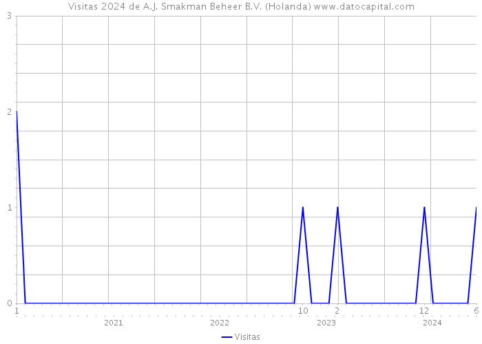 Visitas 2024 de A.J. Smakman Beheer B.V. (Holanda) 