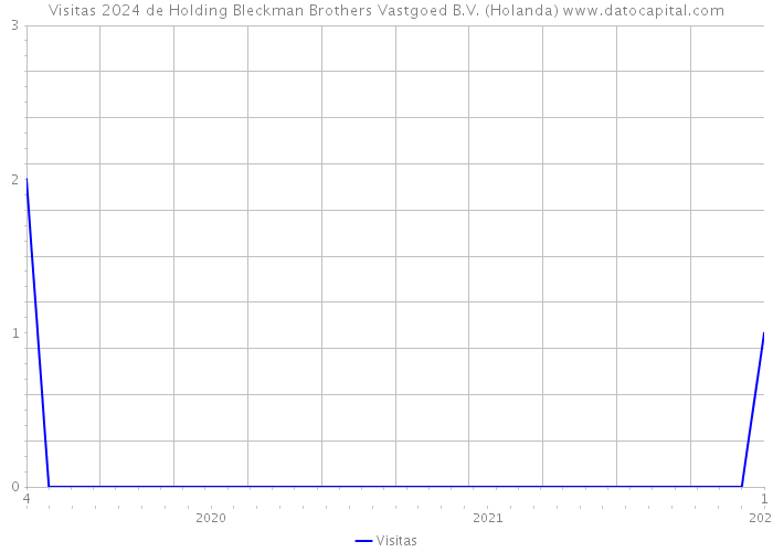 Visitas 2024 de Holding Bleckman Brothers Vastgoed B.V. (Holanda) 