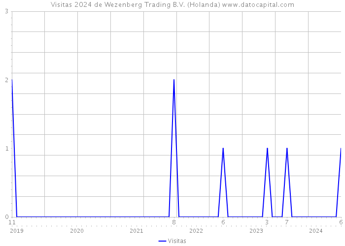 Visitas 2024 de Wezenberg Trading B.V. (Holanda) 