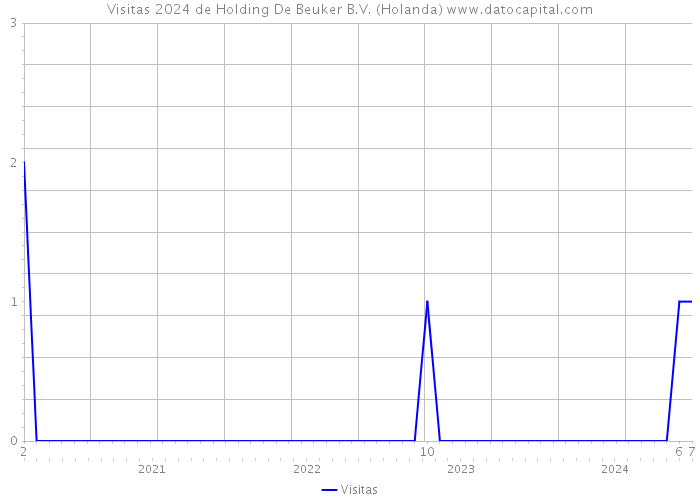 Visitas 2024 de Holding De Beuker B.V. (Holanda) 