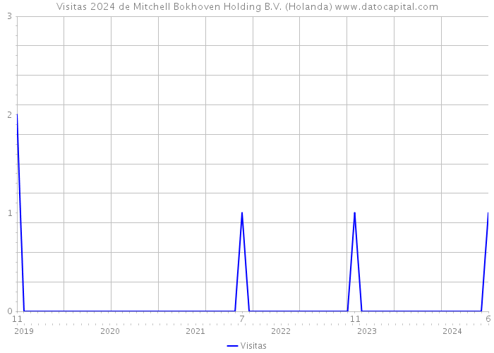 Visitas 2024 de Mitchell Bokhoven Holding B.V. (Holanda) 