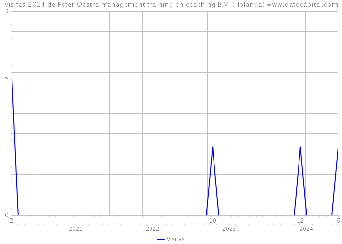 Visitas 2024 de Peter Oostra management training en coaching B.V. (Holanda) 