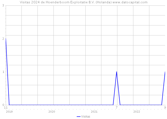 Visitas 2024 de Hoenderboom Exploitatie B.V. (Holanda) 