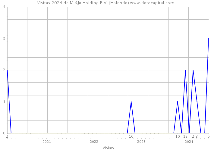 Visitas 2024 de Mi&Ja Holding B.V. (Holanda) 