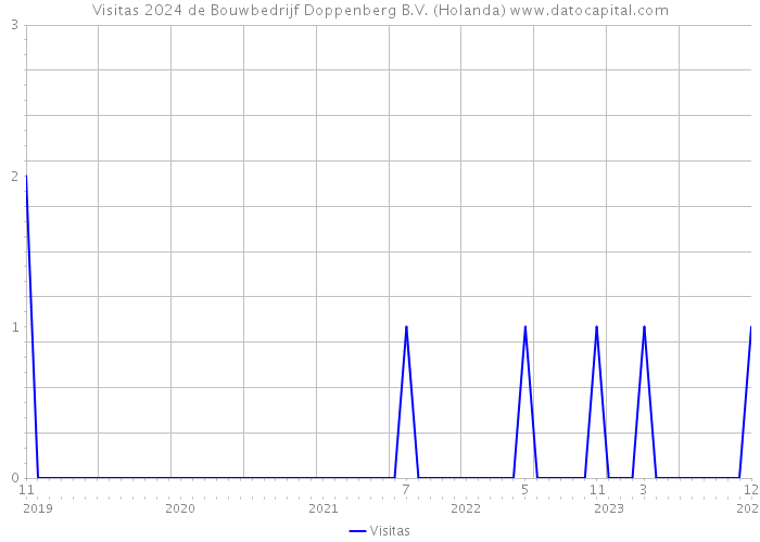 Visitas 2024 de Bouwbedrijf Doppenberg B.V. (Holanda) 