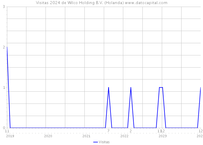 Visitas 2024 de Wilco Holding B.V. (Holanda) 