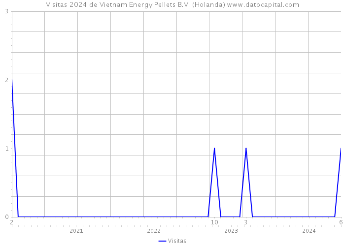 Visitas 2024 de Vietnam Energy Pellets B.V. (Holanda) 