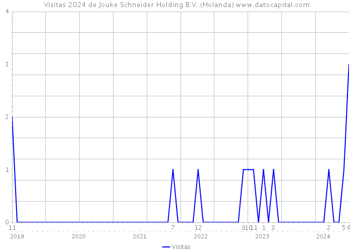 Visitas 2024 de Jouke Schneider Holding B.V. (Holanda) 