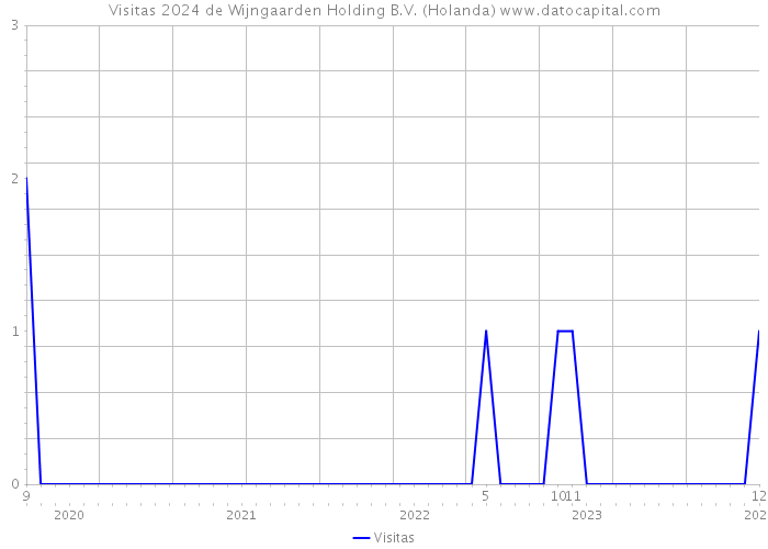 Visitas 2024 de Wijngaarden Holding B.V. (Holanda) 