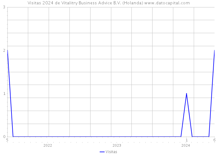 Visitas 2024 de Vitalitry Business Advice B.V. (Holanda) 