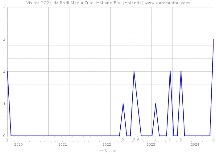 Visitas 2024 de Rodi Media Zuid-Holland B.V. (Holanda) 