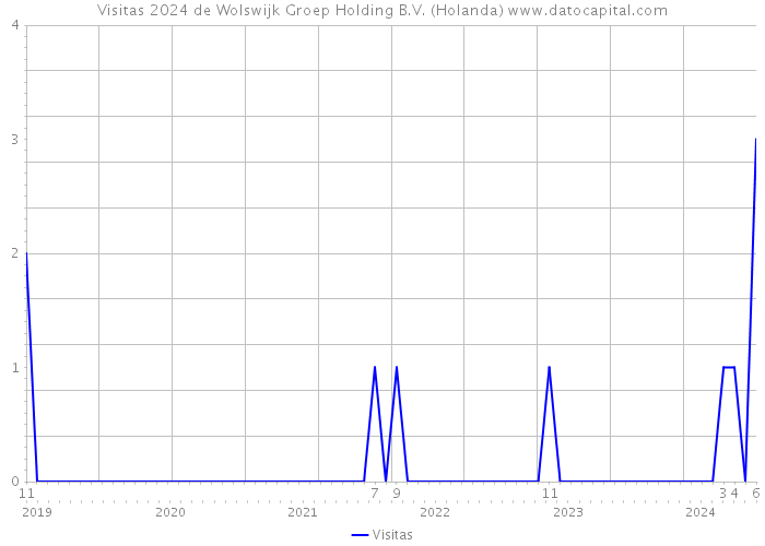 Visitas 2024 de Wolswijk Groep Holding B.V. (Holanda) 