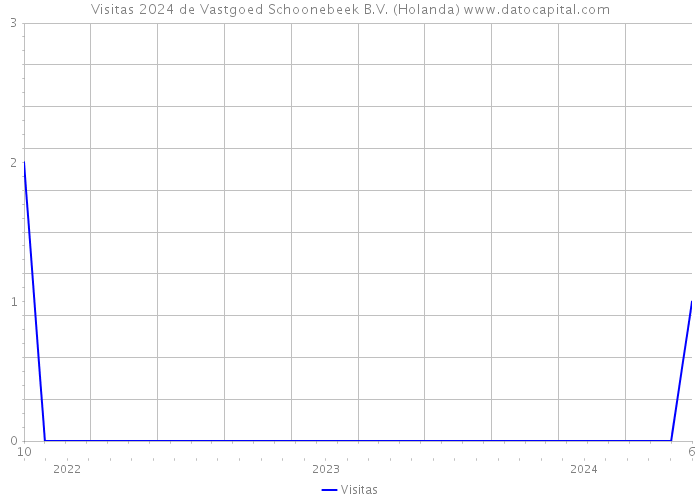 Visitas 2024 de Vastgoed Schoonebeek B.V. (Holanda) 