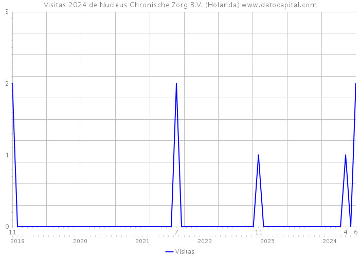 Visitas 2024 de Nucleus Chronische Zorg B.V. (Holanda) 