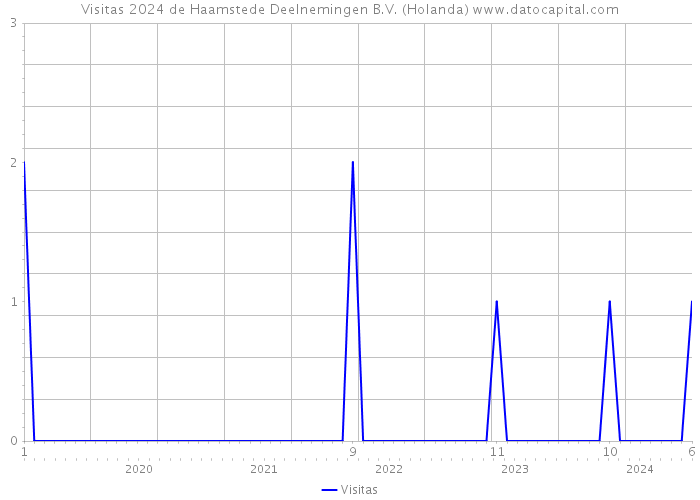 Visitas 2024 de Haamstede Deelnemingen B.V. (Holanda) 