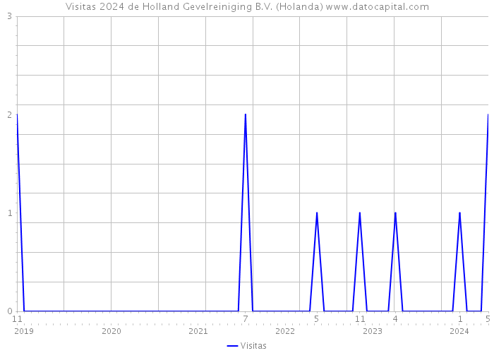 Visitas 2024 de Holland Gevelreiniging B.V. (Holanda) 