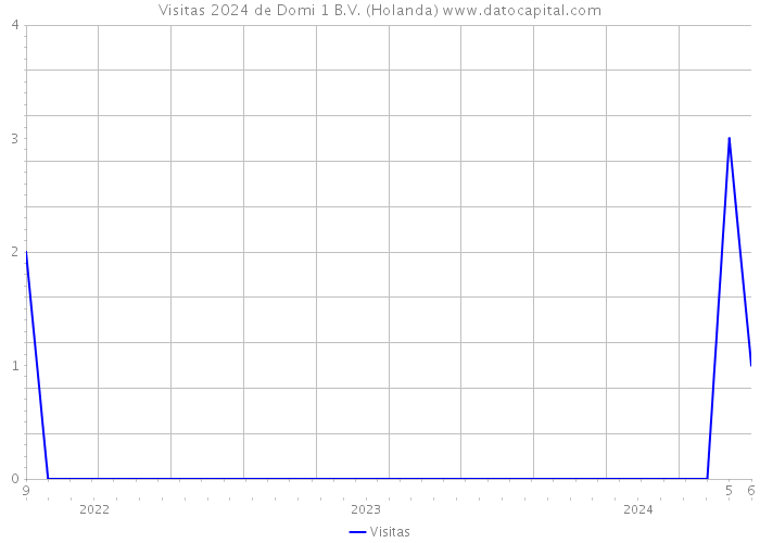 Visitas 2024 de Domi 1 B.V. (Holanda) 