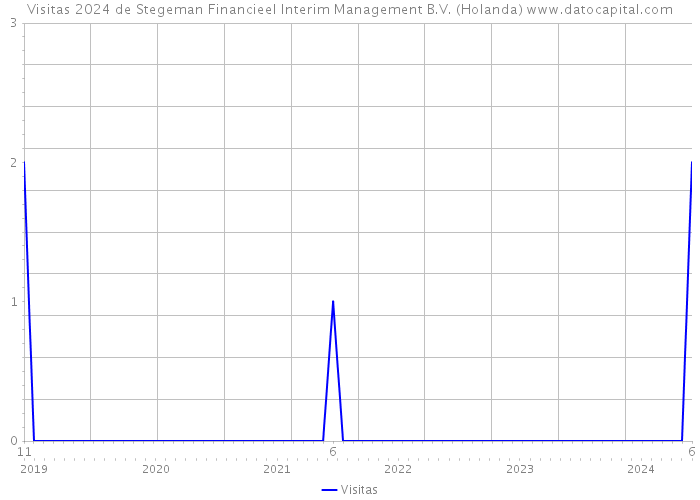 Visitas 2024 de Stegeman Financieel Interim Management B.V. (Holanda) 