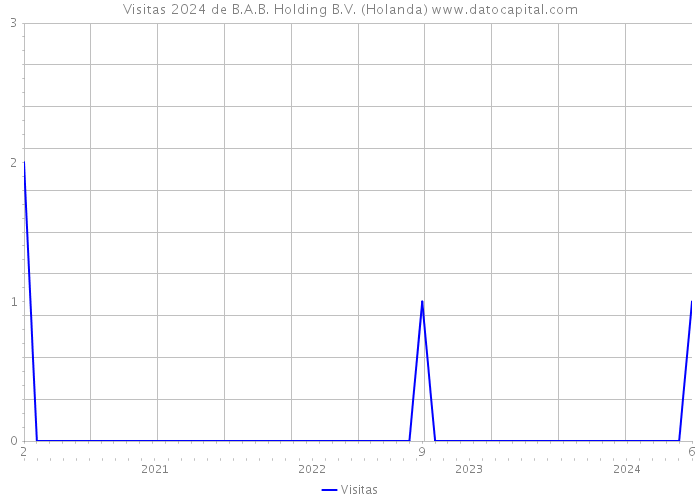 Visitas 2024 de B.A.B. Holding B.V. (Holanda) 