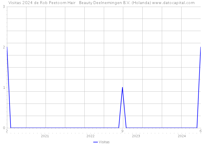 Visitas 2024 de Rob Peetoom Hair + Beauty Deelnemingen B.V. (Holanda) 