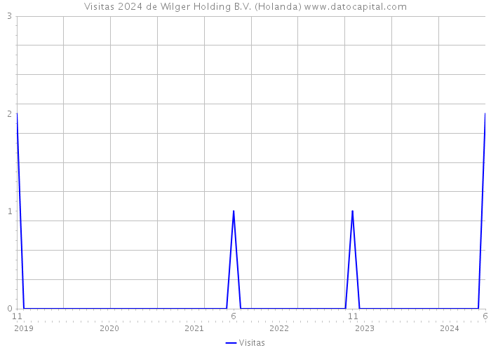 Visitas 2024 de Wilger Holding B.V. (Holanda) 