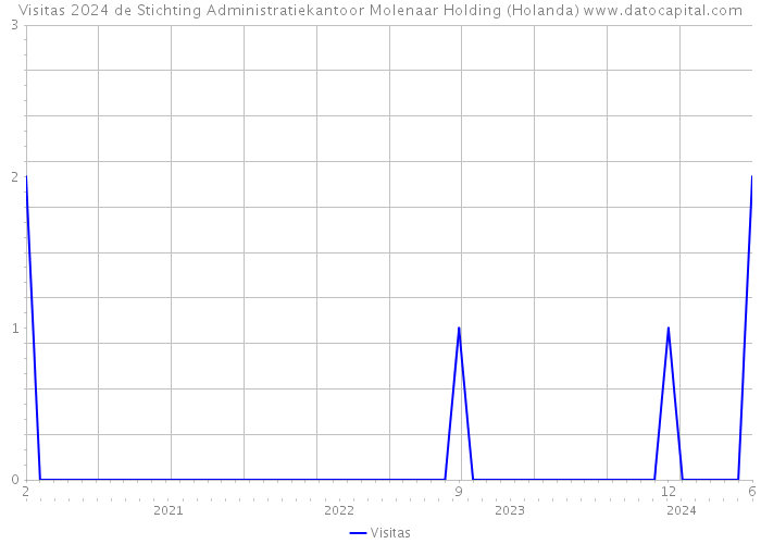 Visitas 2024 de Stichting Administratiekantoor Molenaar Holding (Holanda) 