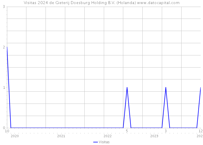 Visitas 2024 de Gieterij Doesburg Holding B.V. (Holanda) 
